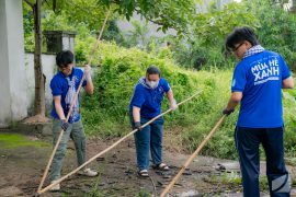 NGÀY CHỦ NHẬT XANH – 23/7/2023